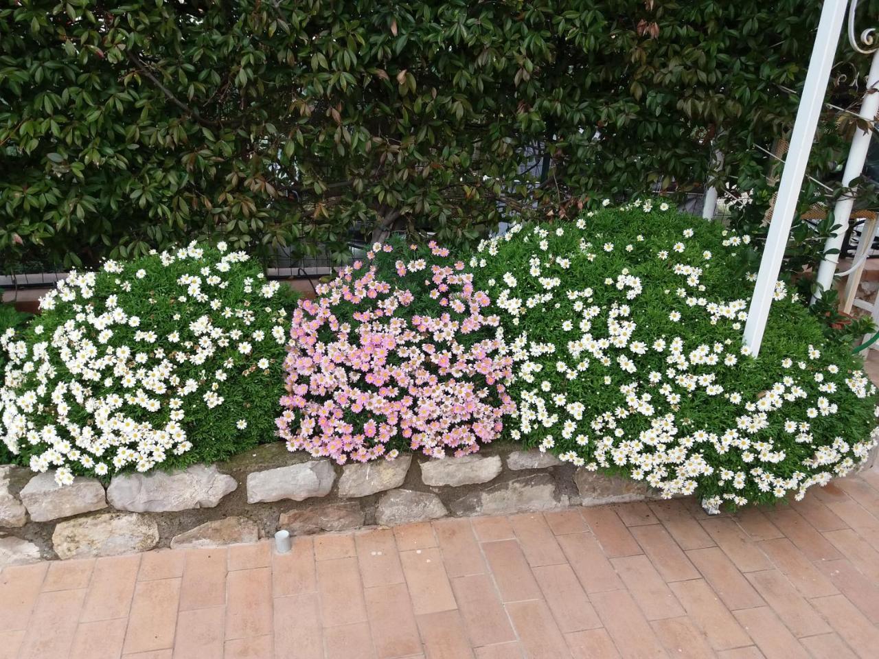 Garden On The Sea Bed and Breakfast Vico Equense Exteriör bild